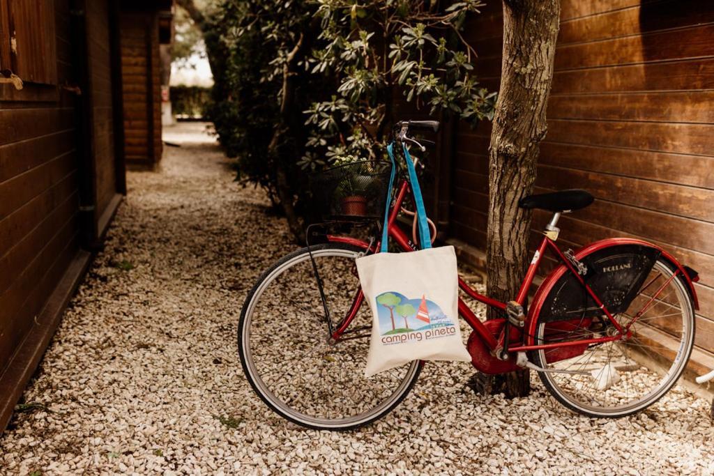 Camping La Pineta Porto Recanati Εξωτερικό φωτογραφία